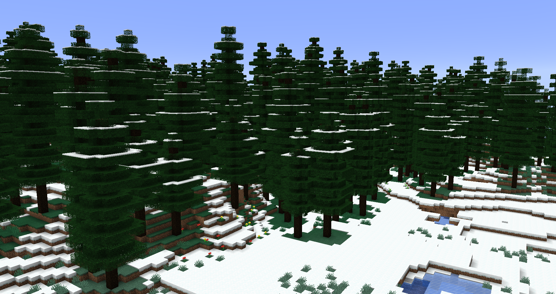 Snowy Coniferous Forest