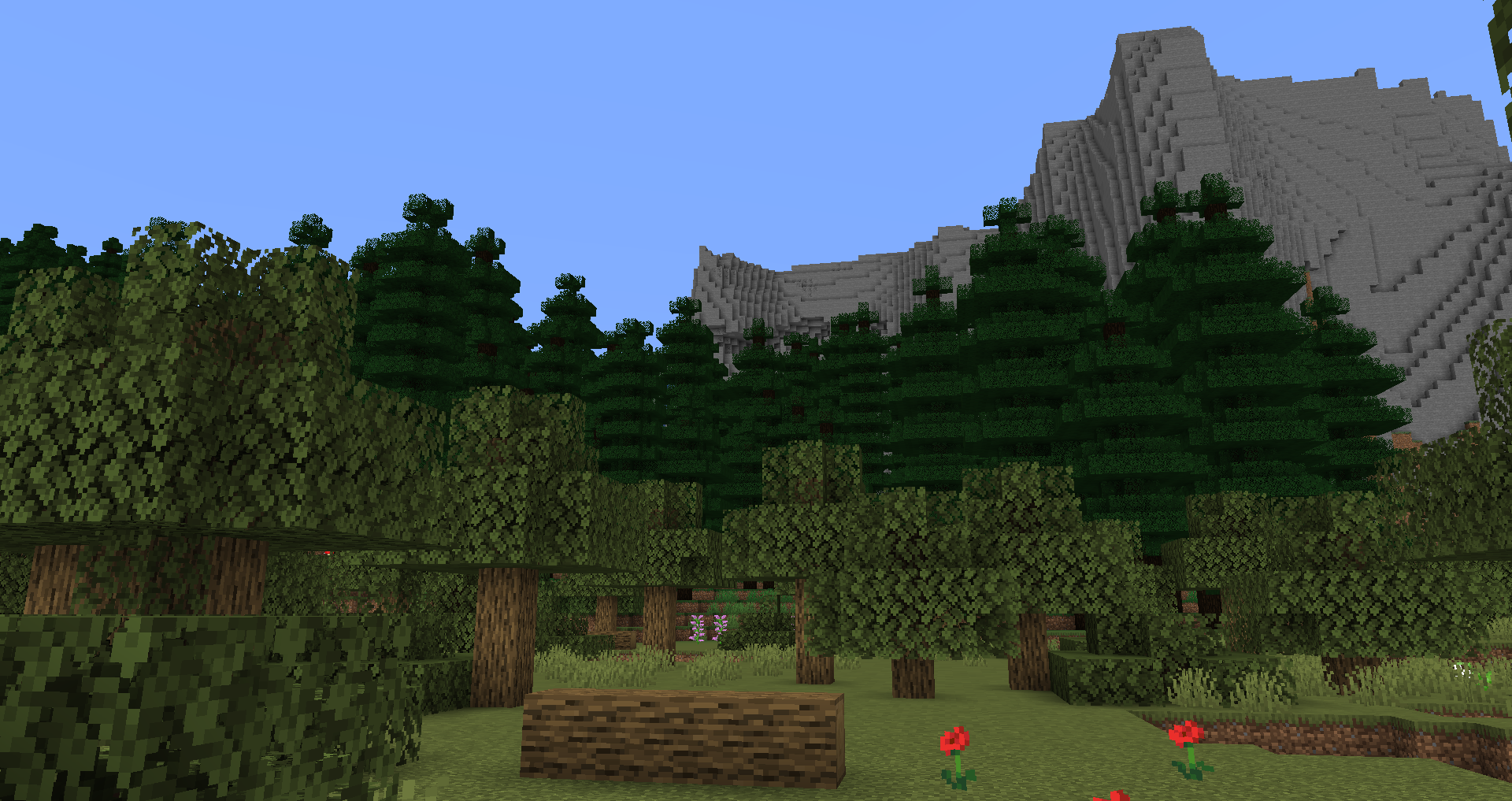 Woodlands, Coniferous Forest, and Cliffs