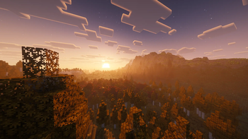 Sunset Forest