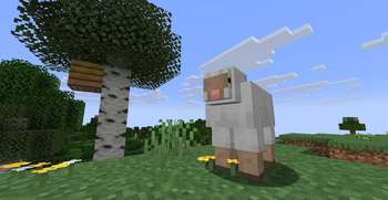 What a cute sheep!