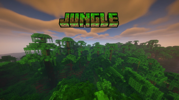 Jungle