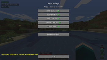 Visual settings