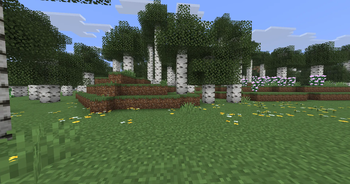 Before