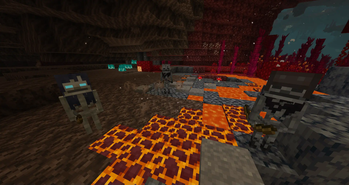 Nether Variants