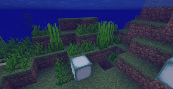 Grass underwater