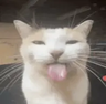 Kubass