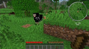 Animals Animations