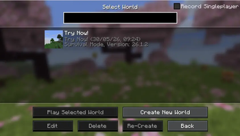 Singleplayer