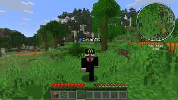 Player Animations