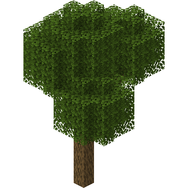 Old Growth Forest