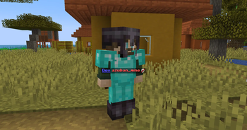 Nickname customization