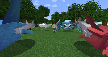 Duo trainer battle