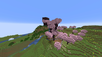 Cherry tree hub