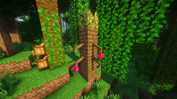 Locacaca Trees
