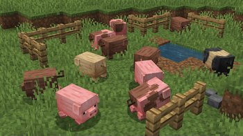 Pig Remodel and Variants