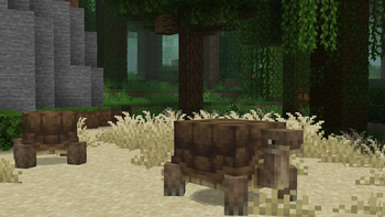 Tortoises