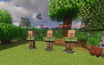 ClaimNPC