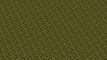 Savanna