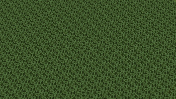 Birch Forest
