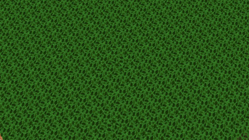 Jungle
