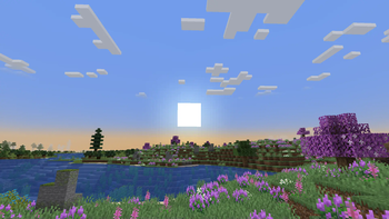 Flowers field