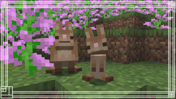 Bunny and Rabbit Example