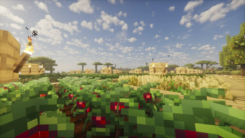 My big farm (didn't even found all the seeds)