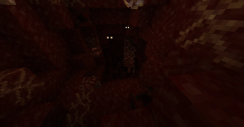 Nest Entrance Pt.2
