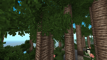 Palm Forest in Excalibur style
