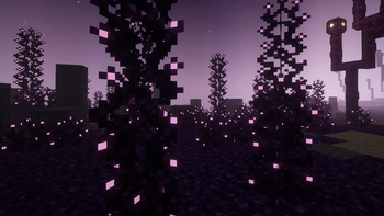 Corrupt Growth