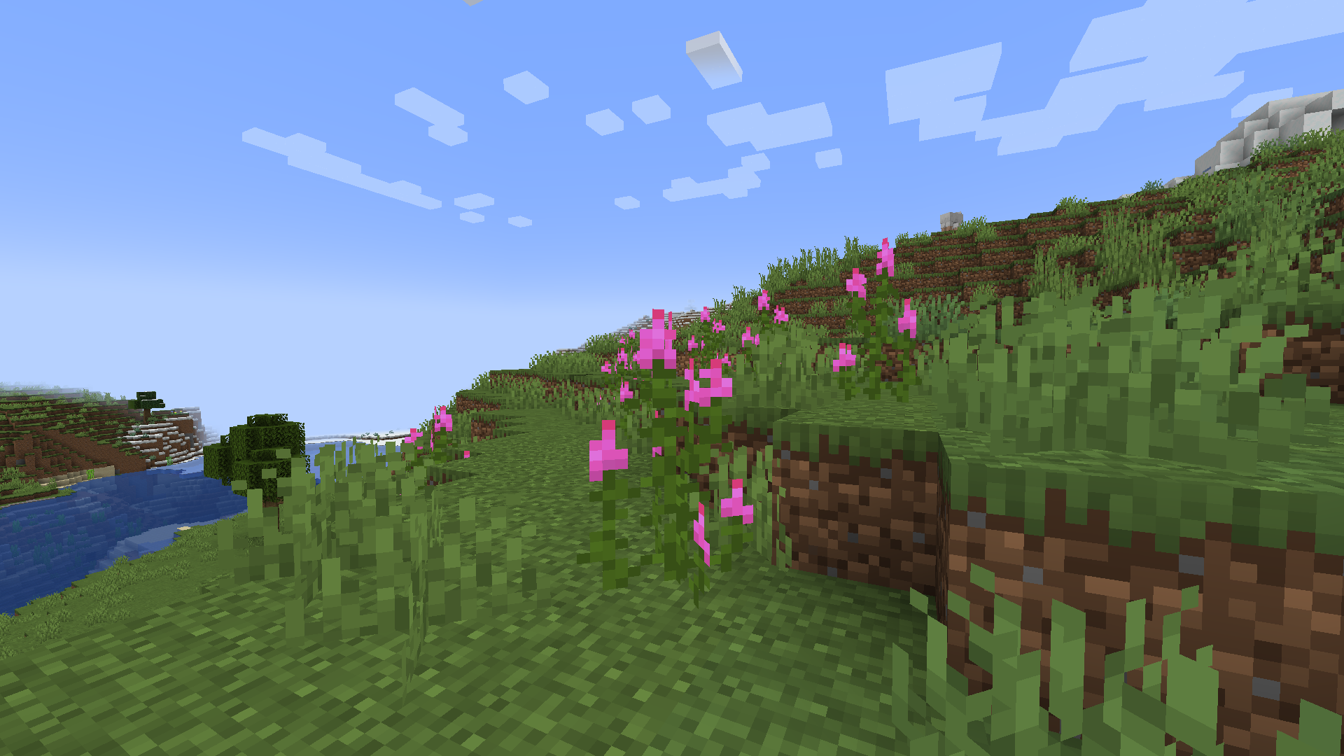 Fireweed in a plains biome (2.0)