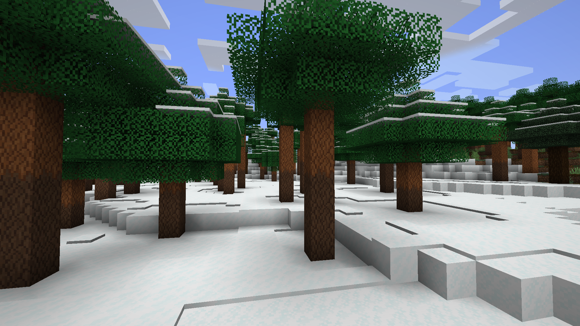 Snowy pine forest (2.0)