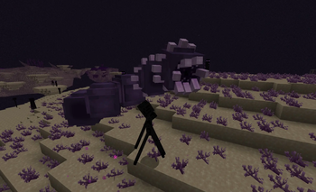 Ender Worm