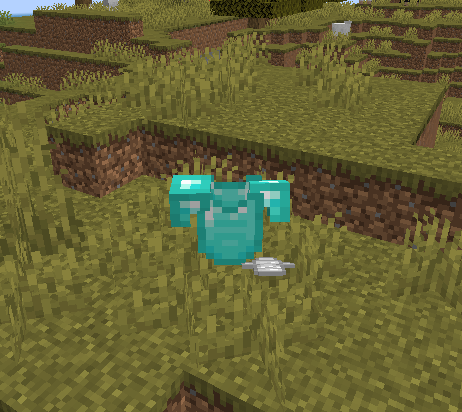 Invisible Totem