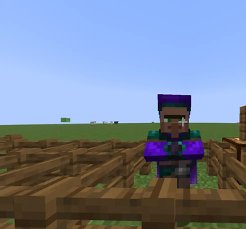 End Villager