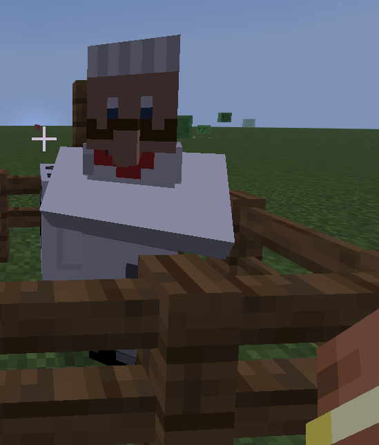 Chef Villager