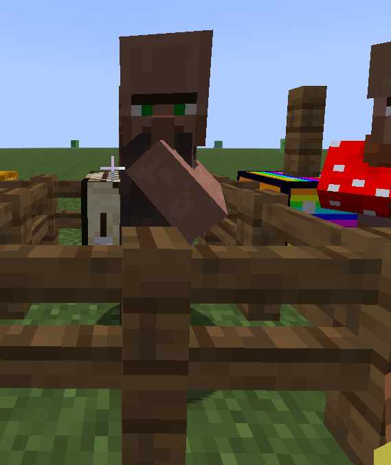 Beach Villager