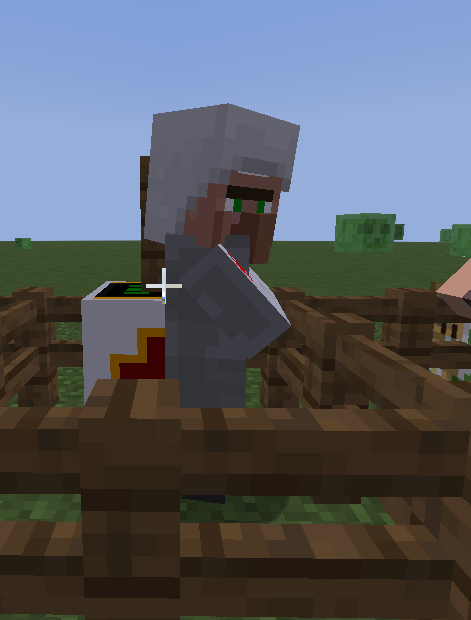 Nurse Villager