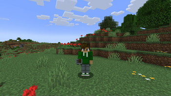 Minecart in third person