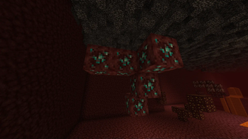 Nether diamond ore