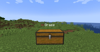 Labled Chest