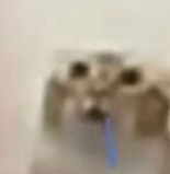 The_Stove