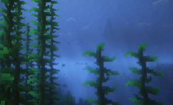 Shaders Support