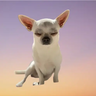 Low Cortisol Totem