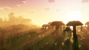 Rays of light 