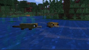 Platypus