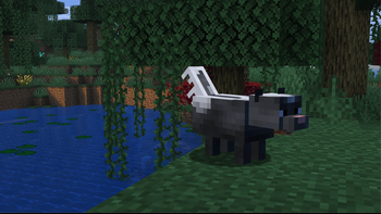 Skunk