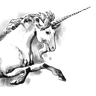 unicornpkg