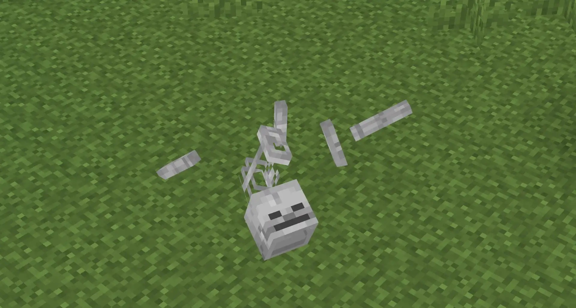 Dead Skeleton