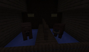 The BEARS :D